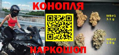 гашик Лесосибирск