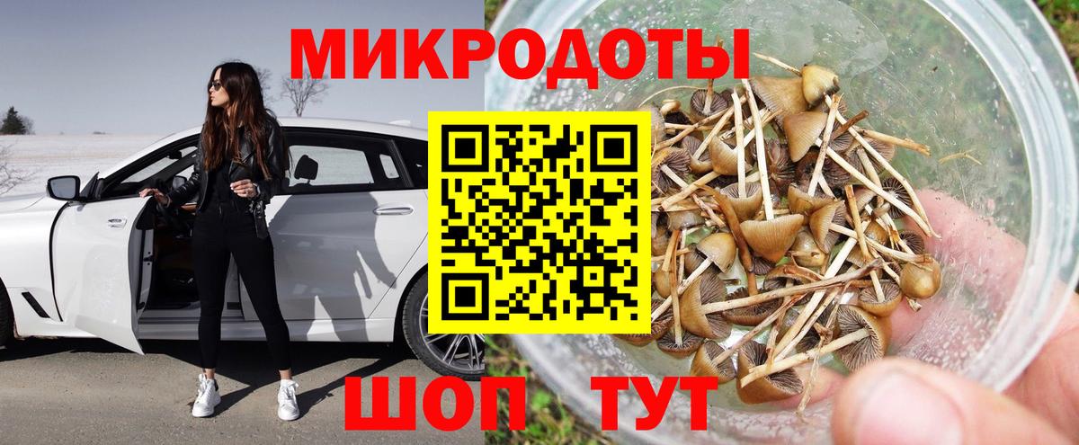 Сердобск  Галлюциногенные грибы прущие грибы  Вход с VPN 
