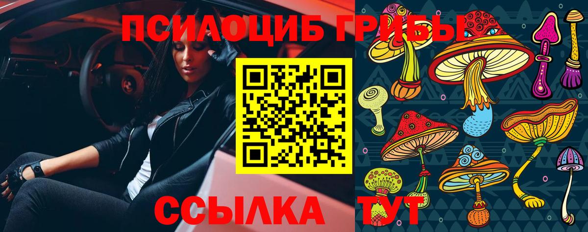 Псилоцибиновые грибы Magic Shrooms Сердобск
